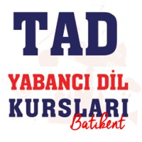 Turkish-American Association Language School Batıkent Logo