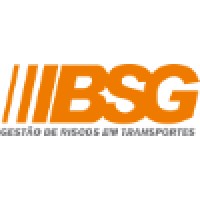 BSG CONSULTORES Logo