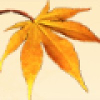 Transitions Marriage & Family Therapy and Individual Counseling Logo