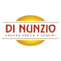 Di Nunzio s.r.l. Logo