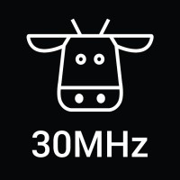 30MHz Logo
