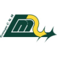 Groupe CNM - Compagnie Nouvelle de Manutentions Logo