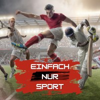 Einfach nur Sport Logo