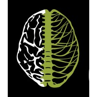 Brain and Body Chiropractic Logo