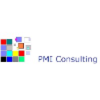 PMI Consulting Logo