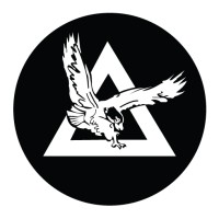 Delta Steel, Inc. Logo