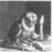 Owl Energy Consultants Ltd Logo