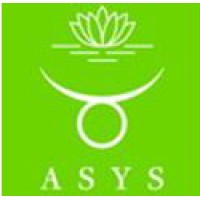 ASYS Automatic Systems GmbH & Co.KG Logo