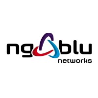 NG-BLU Networks Logo