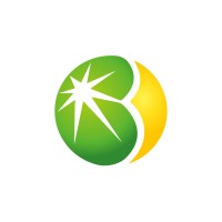 Boxin Solar Co., Ltd Logo