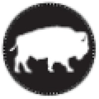 White Buffalo Film Studios Logo