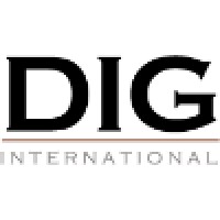 Decision Intelligence Group International, LLC Logo