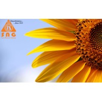 SNG India Logo