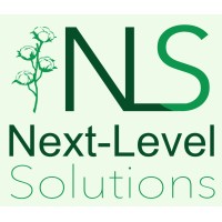 Next Level Solutions Logo