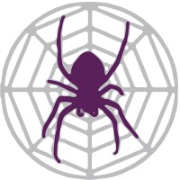 Spider Project Team Logo