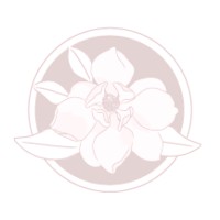 Provincial Decor LLC Logo