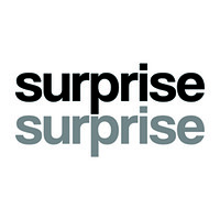 surprise surprise GmbH Logo