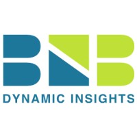BNB Dynamic Insights Logo