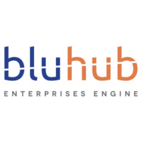 BluHub -The Enterprises Engine Logo