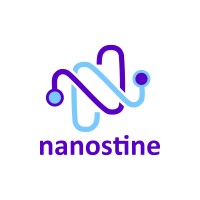 Nanostine Logo