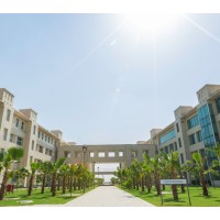 SNU International Office Logo