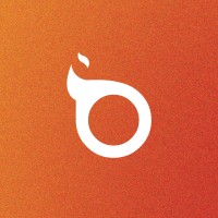 BlackFire Logo
