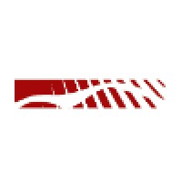 Digizaal webdev Logo
