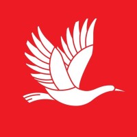 White Stork Logo