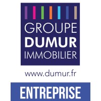 DUMUR IMMOBILIER ENTREPRISE Logo