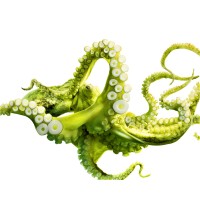 COMPRESSION PD Logo