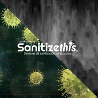 Sanitizethis Logo