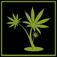 Lifted Aloha Logo