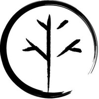 Shuying Academy (Official) Logo