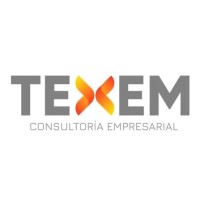 Texem Consultoría Empresarial Logo