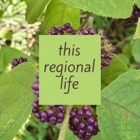 This Regional Life Logo