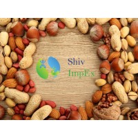 Shiv ImpEx Global Logo