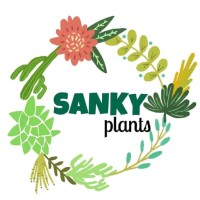 Sanky Plants Logo