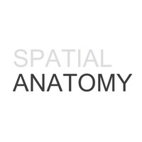 Spatial Anatomy Logo