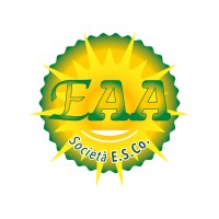 ELETTRONICA APPLICAZIONE & AUTOMAZIONE Logo