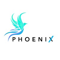 Phoenix Business Insight Ltd Logo
