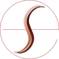 evenSense Logo