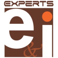 Experts E&I Logo