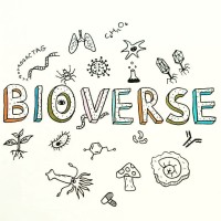 Bioverse Logo