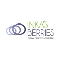 Inkas Berries Logo