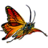 Mariposa Mens Wellness Institute Logo