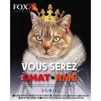 FOX COMMUNICATION Logo
