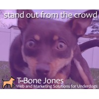 TBone Jones Solutions Logo