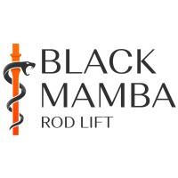 Black Mamba Rod Lift Logo