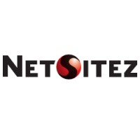 NetSitez Logo