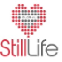 STILL LIFE GLOBAL LTD Logo